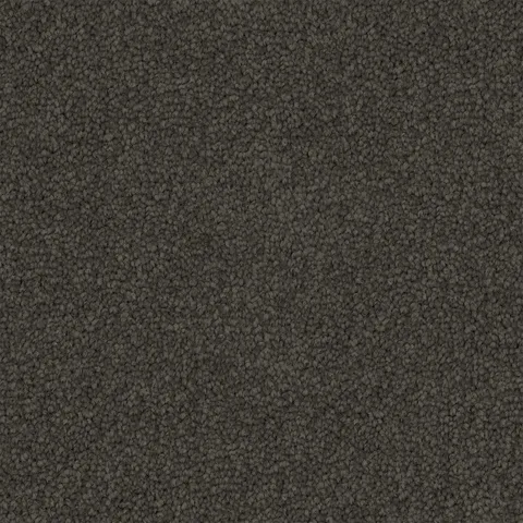 Mouse Grey carpet swatch